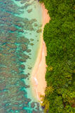 Reef and Rainforest (Vertical)