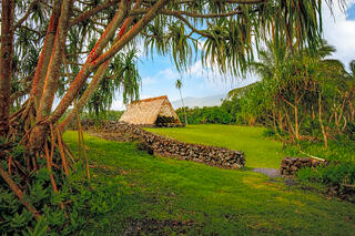 The historic grounds of Piʻilanihale Heiau in Hāna, Maui, featuring a traditional thatched roof house and ancient black lava rock walls framed by the branches.