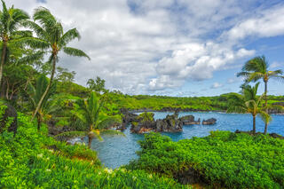 Palm trees and lush green plants frame the blue bay and black sand beach of Wainapanapa State Park in Maui under a cloudy blue sky.
