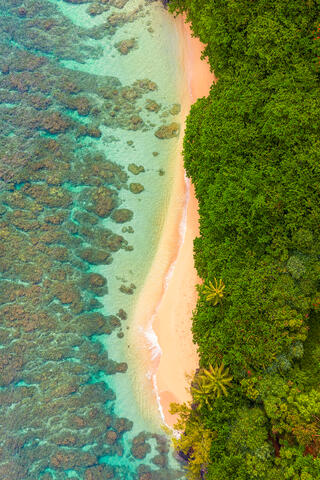 Top-down aerial view of a dense green rainforest canopy meeting a white sand beach and crystal-clear coral reef in Hawaii.