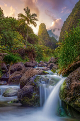 Sunset view of a rushing stream and mossy boulders in Iao Valley with the Iao Needle and a tall palm tree in Maui.