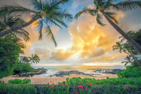 Two tall palm trees framing a golden sunset over Secret Beach in Makena, Maui, with a foreground of pink bougainvillea and a background of black lava rocks.
