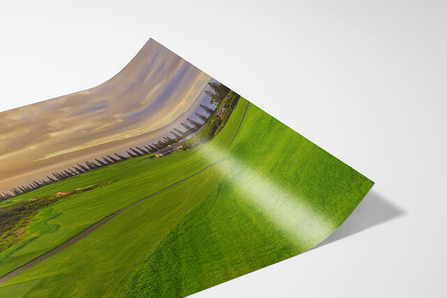 print preview