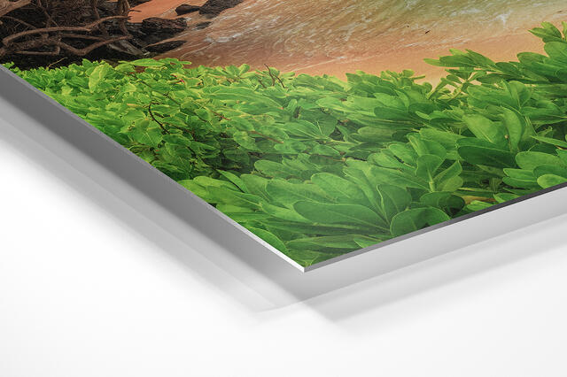 print preview