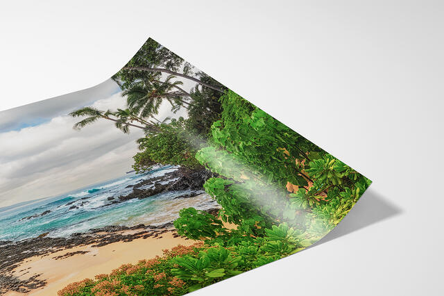 print preview