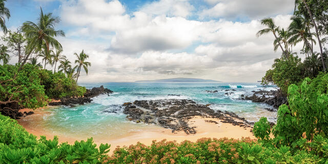 Lush green plants and palm trees frame a secluded golden cove with turquoise waves and lava rocks at Secret Beach in Maui.