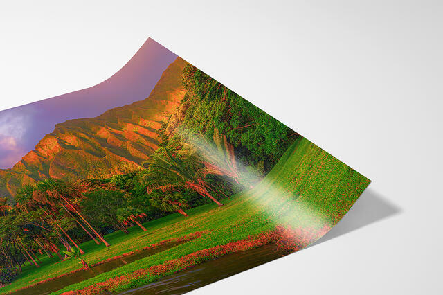 print preview