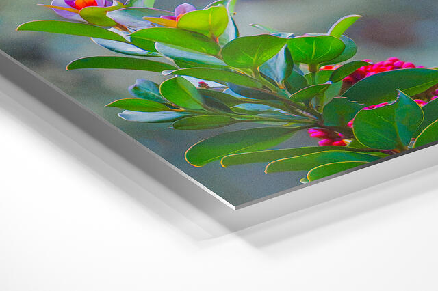  print preview