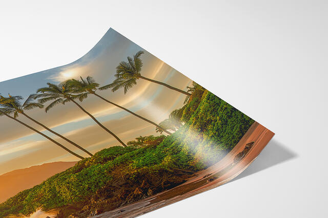 print preview