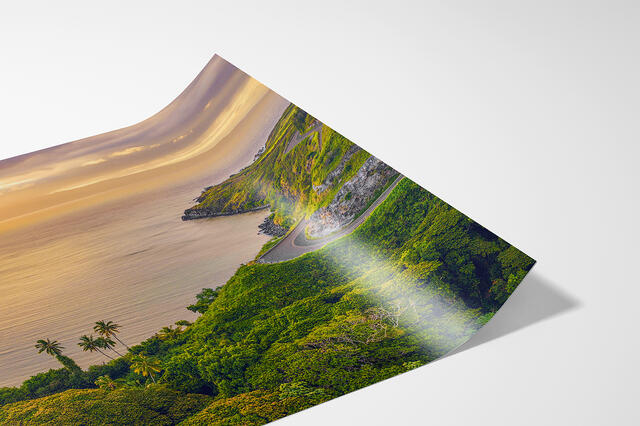  print preview