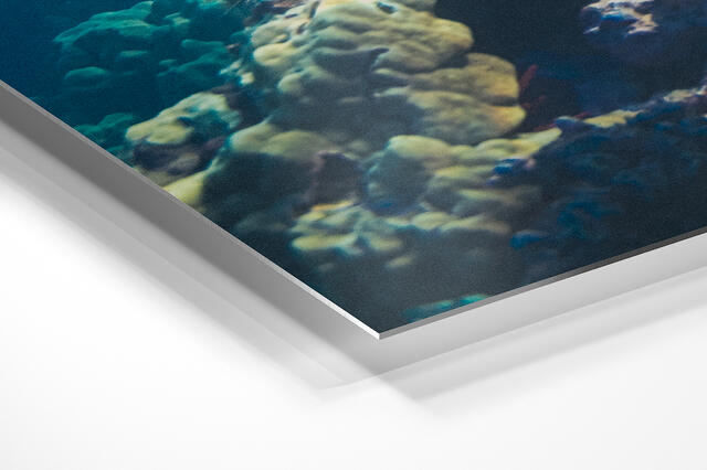  print preview