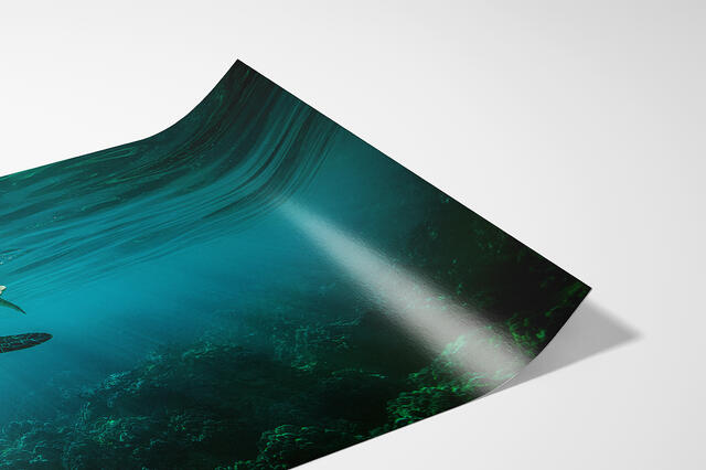 print preview