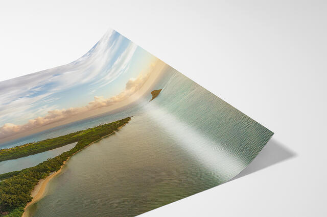 print preview