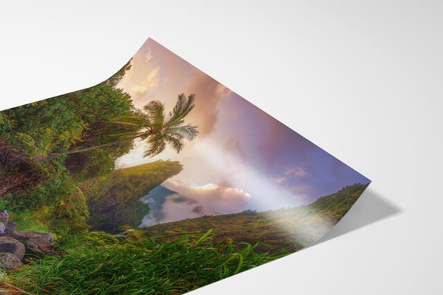 print preview