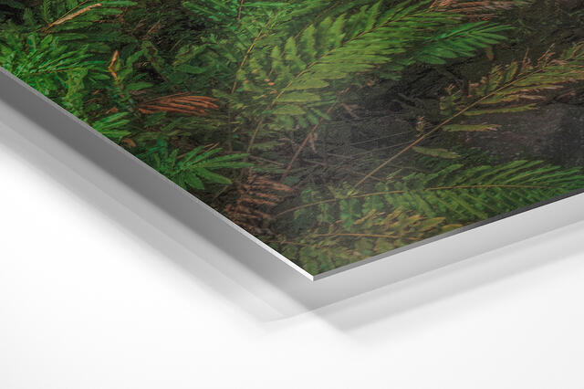 print preview