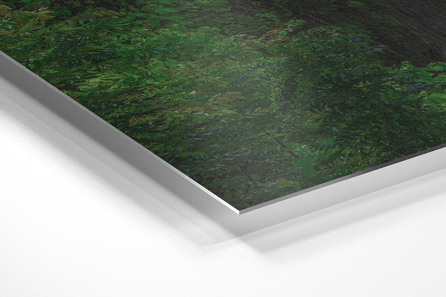 print preview