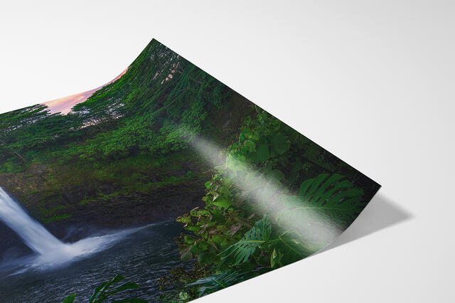 print preview