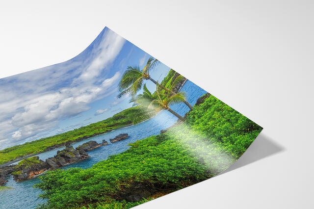 print preview