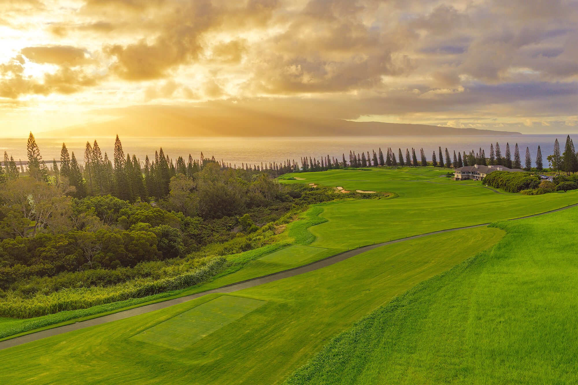 The 18th at Plantation Sunset view over the 18th fairway of the Kapalua Plantation Course in Maui, featuring Cook pines, the ocean, and Molokai.