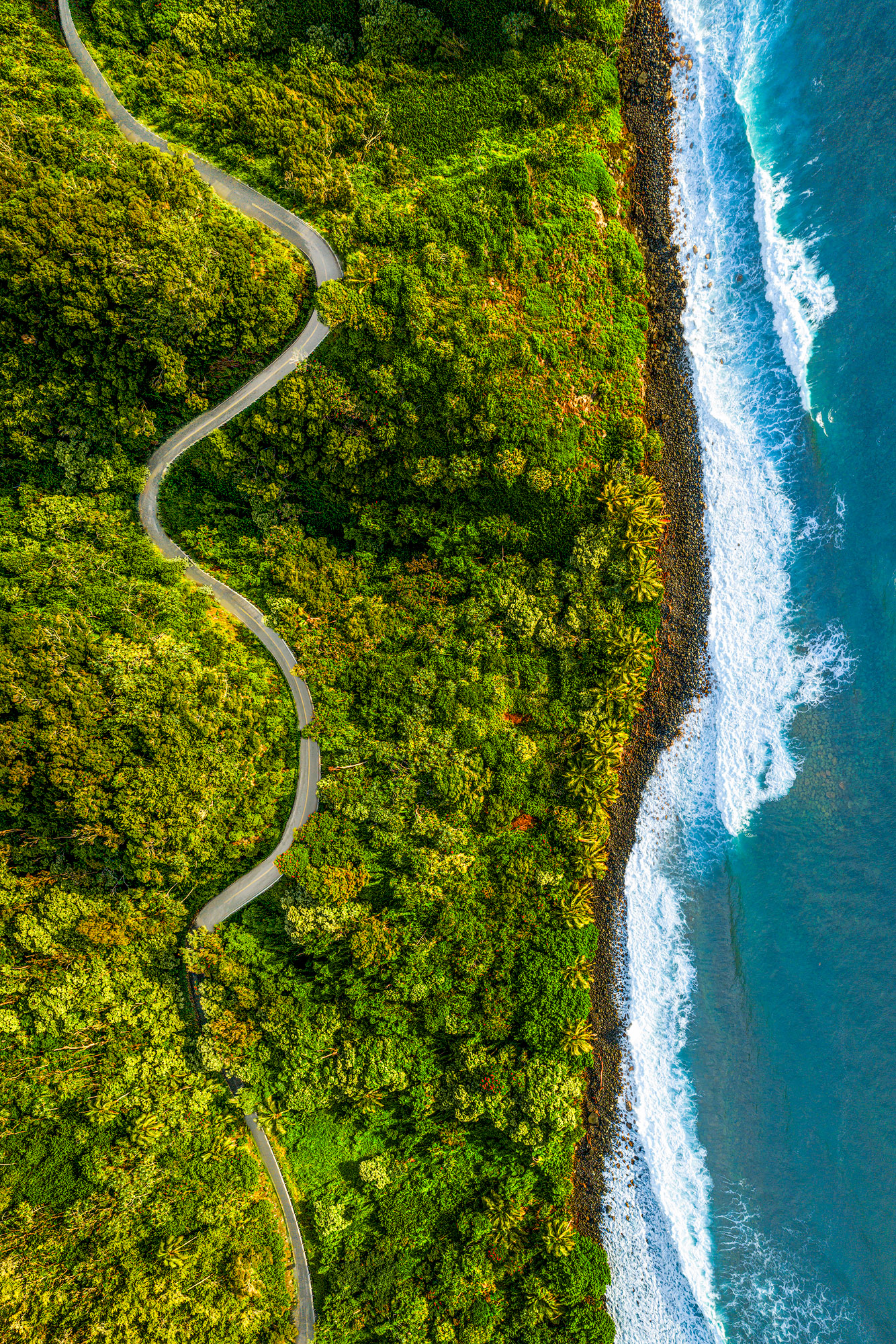 Road to Hana (Vertical) Top-down aerial view of the winding Hana Highway cutting through a lush green jungle alongside blue ocean waves crashing on Maui's shore.