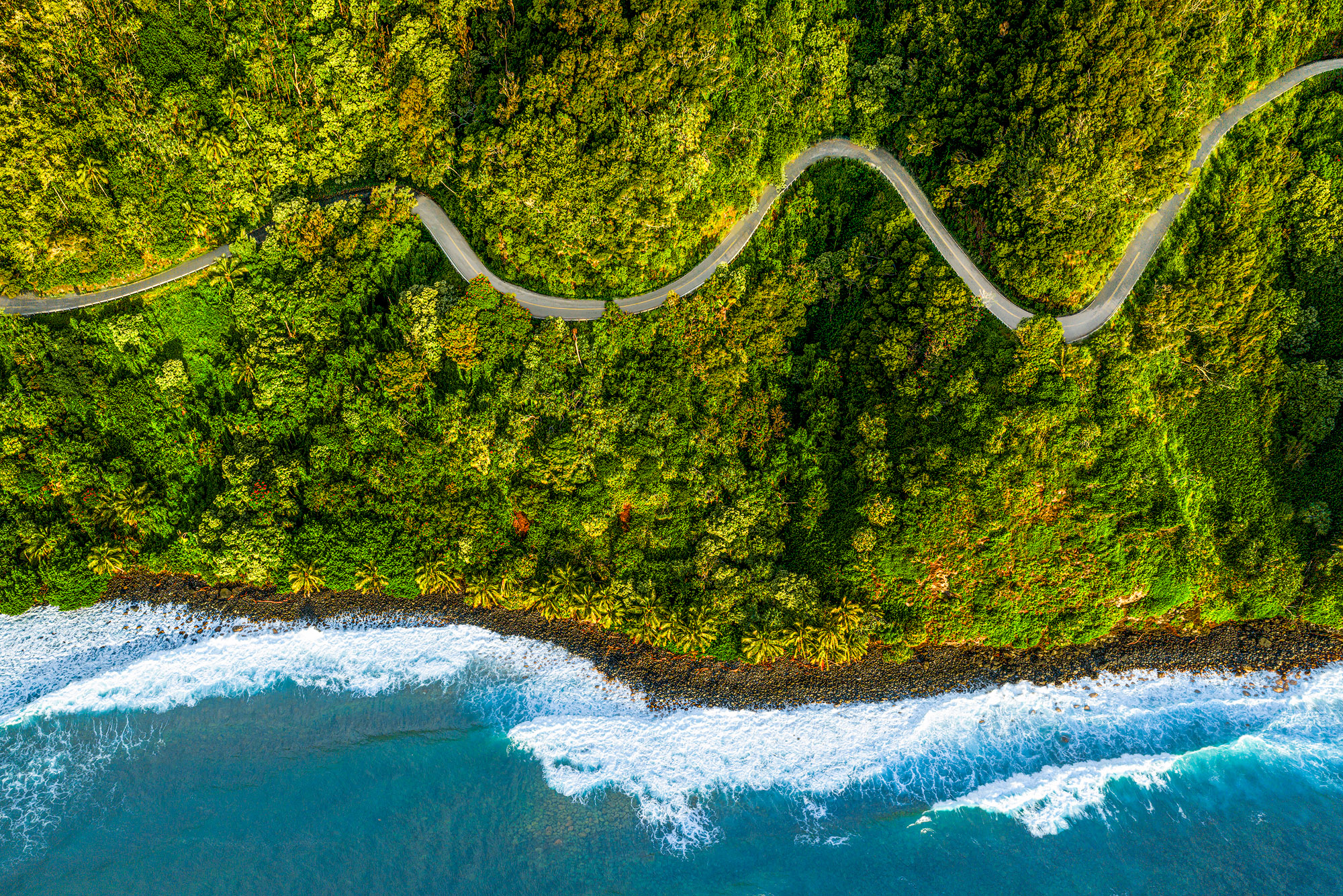 The Road to Hana Top-down aerial view of the winding Hana Highway cutting through a lush green jungle alongside blue ocean waves crashing on Maui's shore.