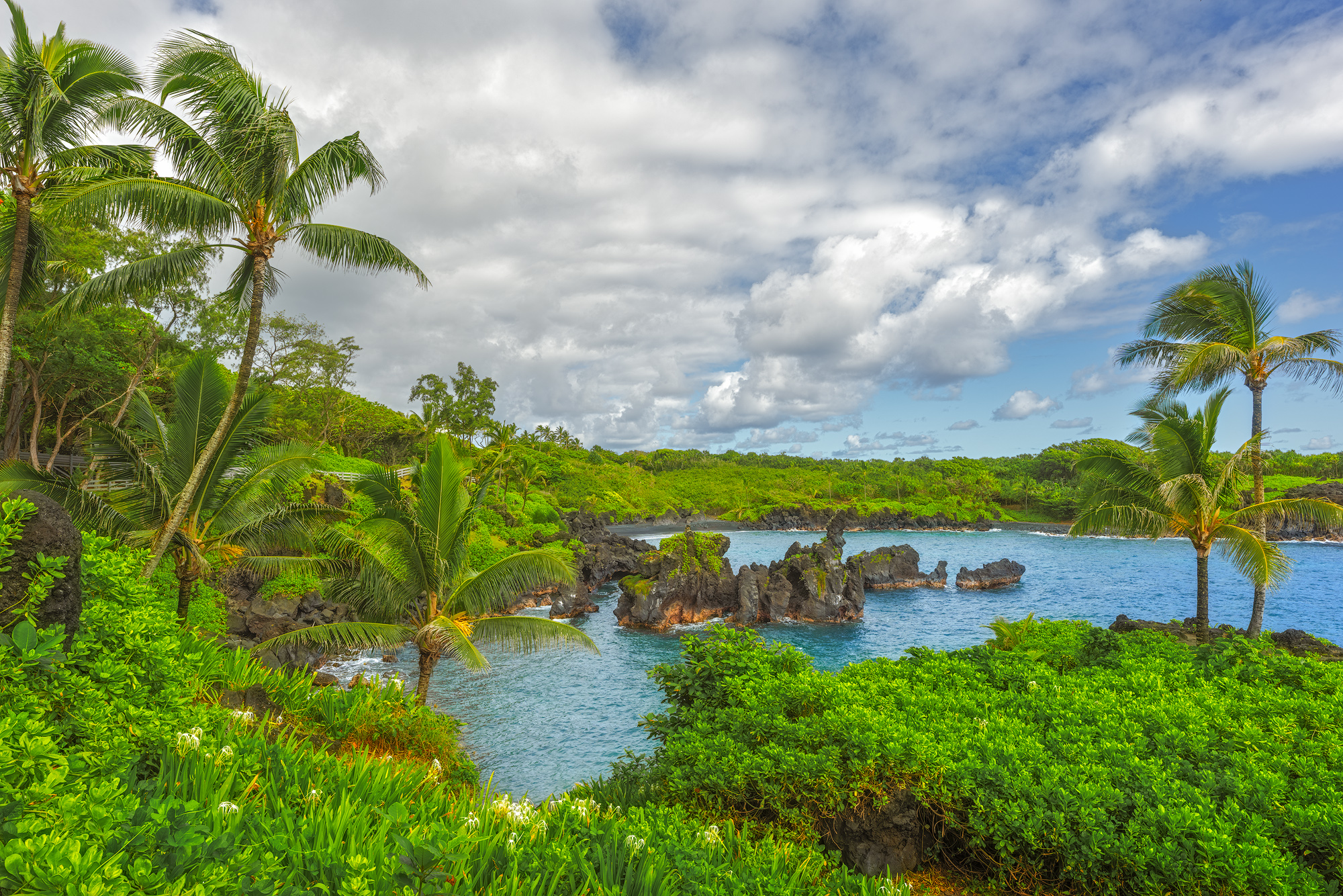 Waiʻānapanapa Daydream Palm trees and lush green plants frame the blue bay and black sand beach of Wainapanapa State Park in Maui under a cloudy blue sky.