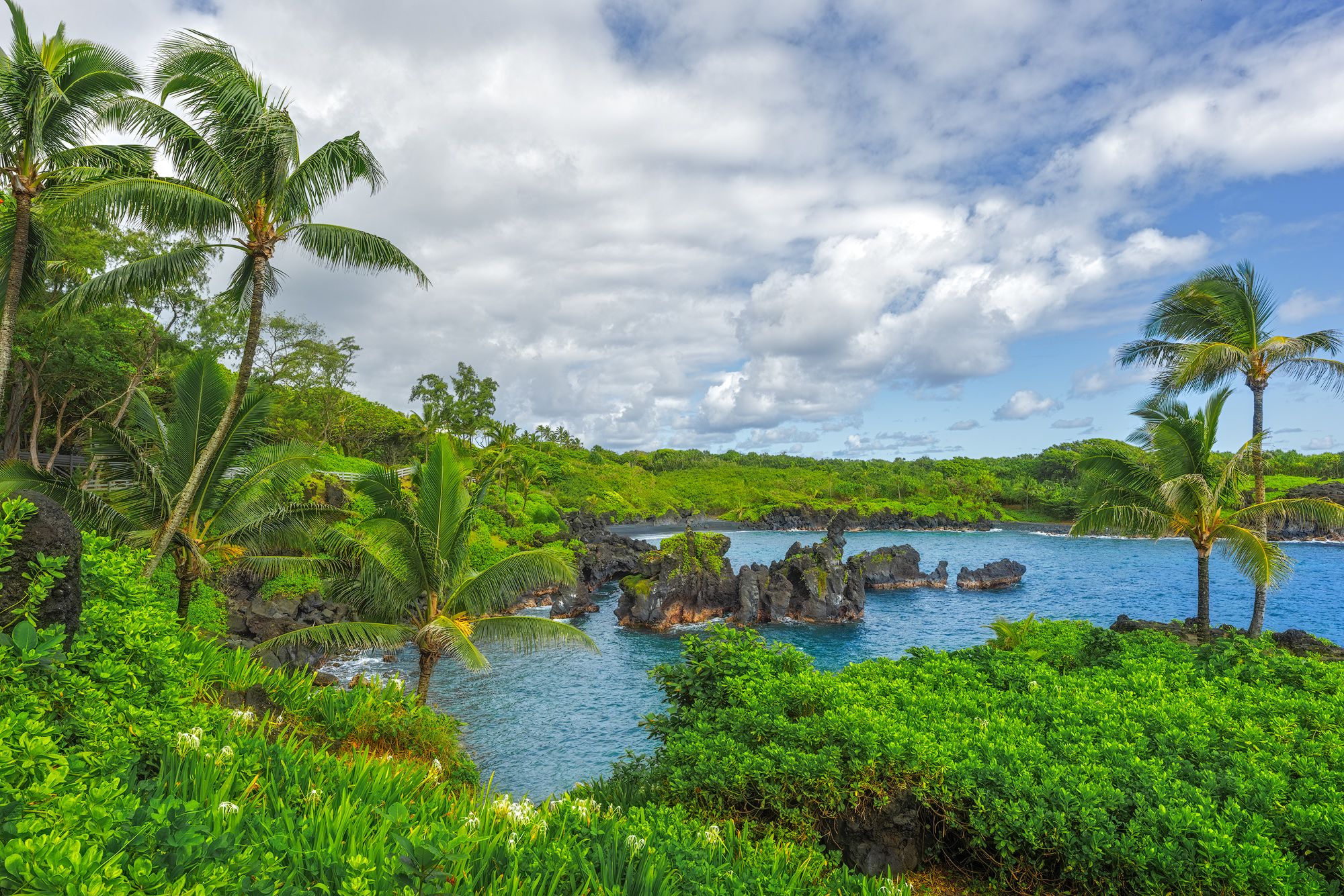 Waiʻānapanapa Daydream Palm trees and lush green plants frame the blue bay and black sand beach of Wainapanapa State Park in Maui under a cloudy blue sky.